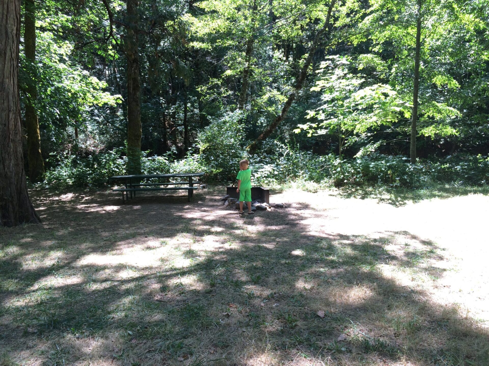 Our son explores an empty campsite at Wolf Creek Campground.