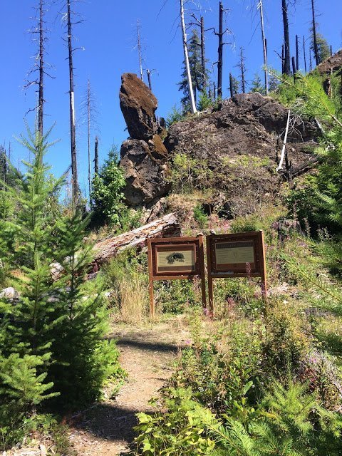 Take your kids to Slick Creek Cave, a short hike near Eugene, Oregon