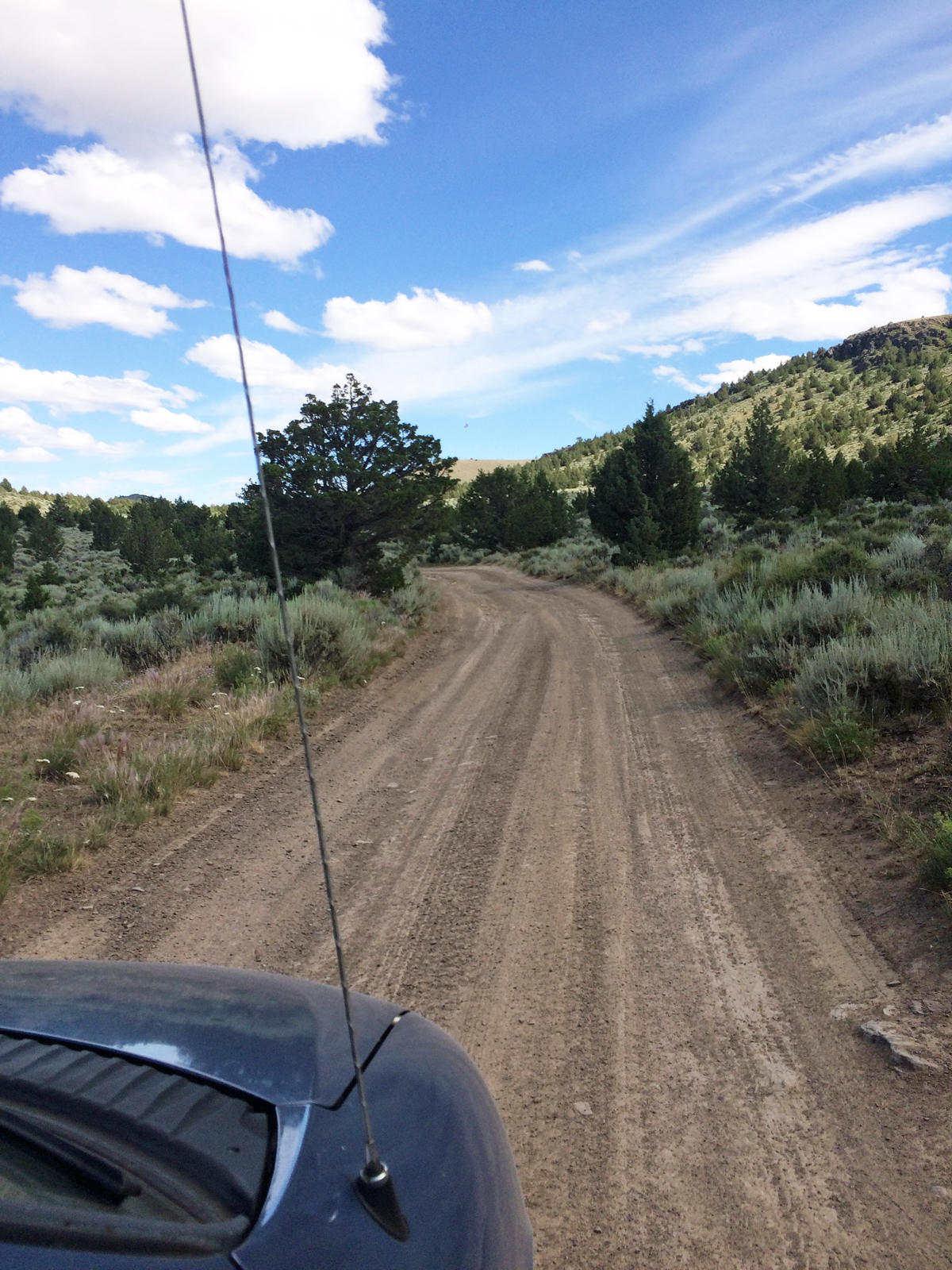 The road at Glass Butte - wide and flat, but sparkling with obsidian
