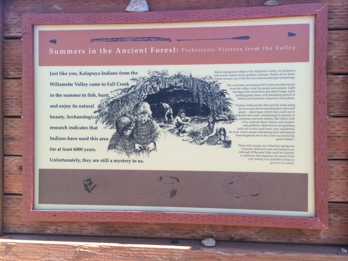 Slick Creek Cave Interpretive sign #1: Summers in the Ancient Forest: Prehistoric Visitors from the ValleyJust like you, Kalapuya Indians from the Willamette Valley came to Fall Creek in the summer to fish, hunt, and enjoy its natural beauty. Archaeological research indicates that Indians have used this area for at least 6000 years. Unfortunately, they are still a mystery to us. Before immigrants settled in the Willamette Valley, the Kalapuya were nearly wiped out by epidemic diseases. Nearly all we know of their ancient way of life has been learned through archaeology. The cool forest enveloping Fall Creek provided escape from the valley's heat for people and animals. Light burning of the forest floor provided forage, made spotting game easier, and stimulated growth of berries and hazelnuts, important food plants. Hunters followed the deer and elk herds along the river and discovered abundant chert and jasper—stone types which they could use to replenish their tools. Archaeological research of campsites and rock shelters, like Slick Creek Cave, indicated these visitors were hunters and gatherers. Stone bowls and grinding tools tell us they used roots, nuts, and berries for food. Arrow points, butchering tools and burned bone fragments show they were successful big game hunters. These early people also fished for spring-run Chinook, steelhead trout and lamprey eel. Although Willamette Falls could be a barrier to upstream fish migration for much of the year, fishing was probably at least as good as it is today!