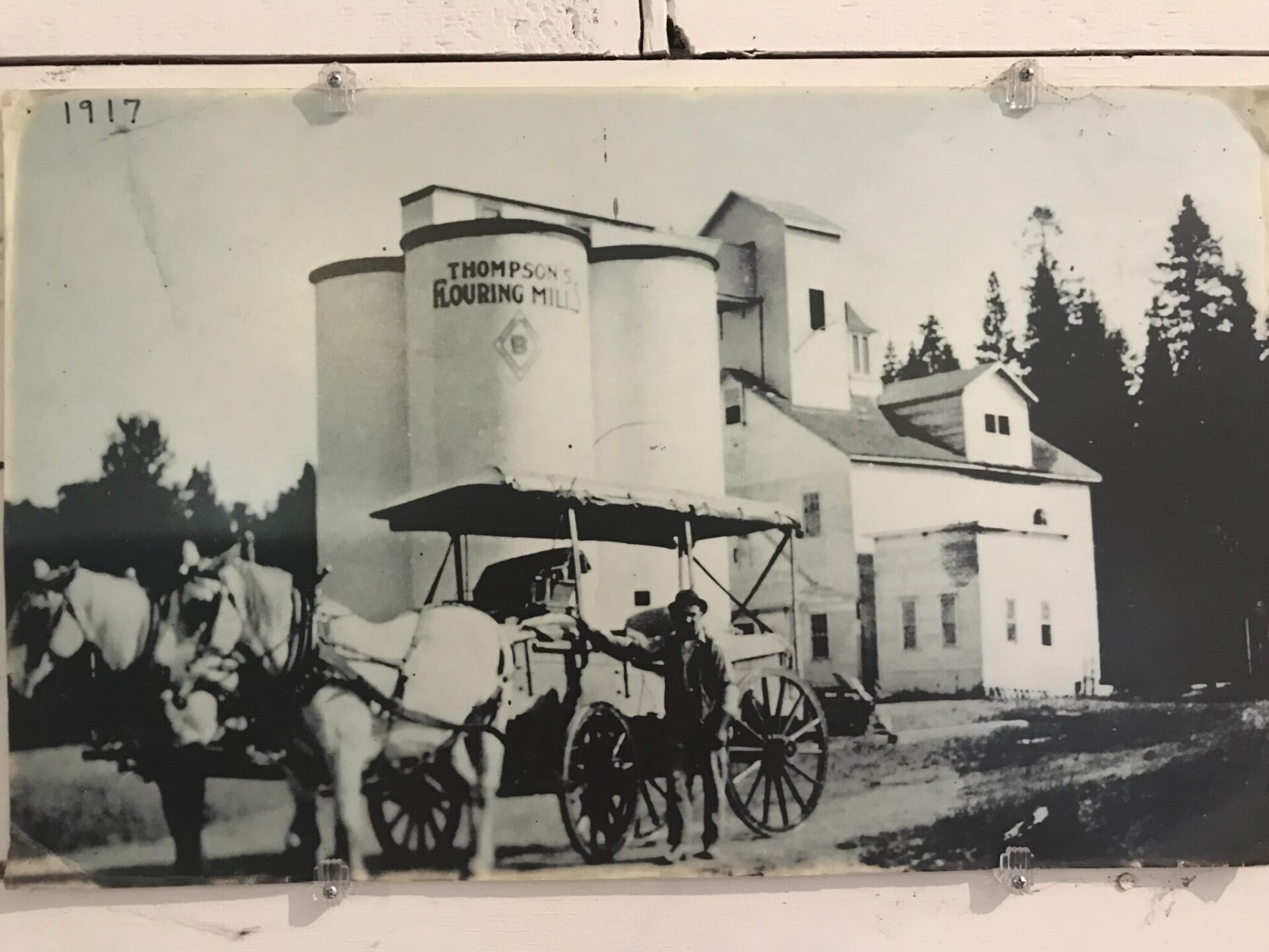 A historical photo of Thompson's Mill in 1917, with horses and a wagon in front of the mill. 