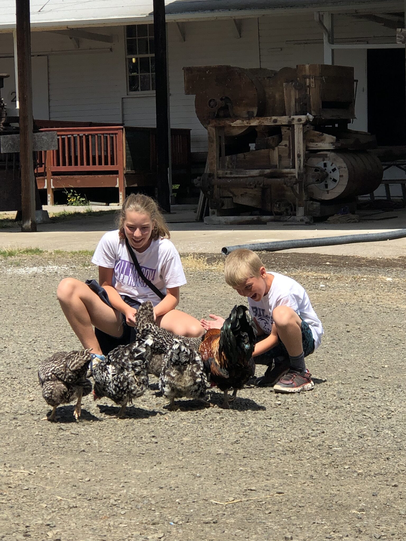 Two children feed chickens in front of a display of mill equipment. 