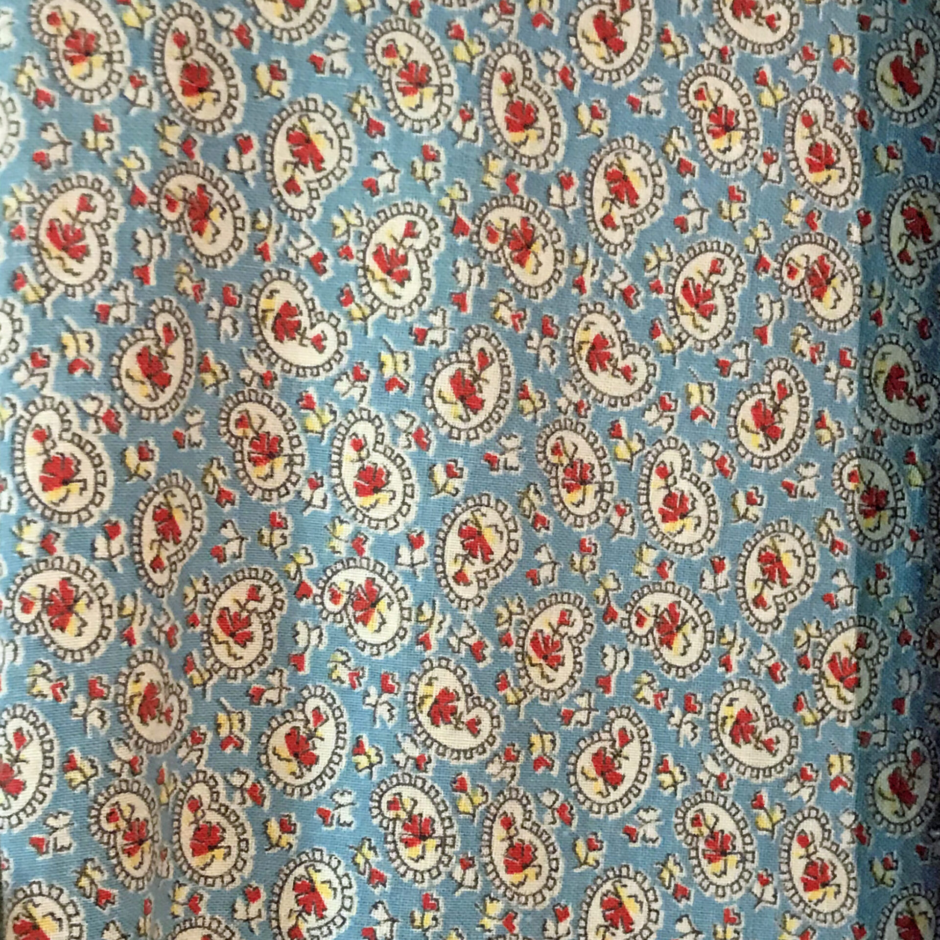 A blue flour sack print with red flowers.