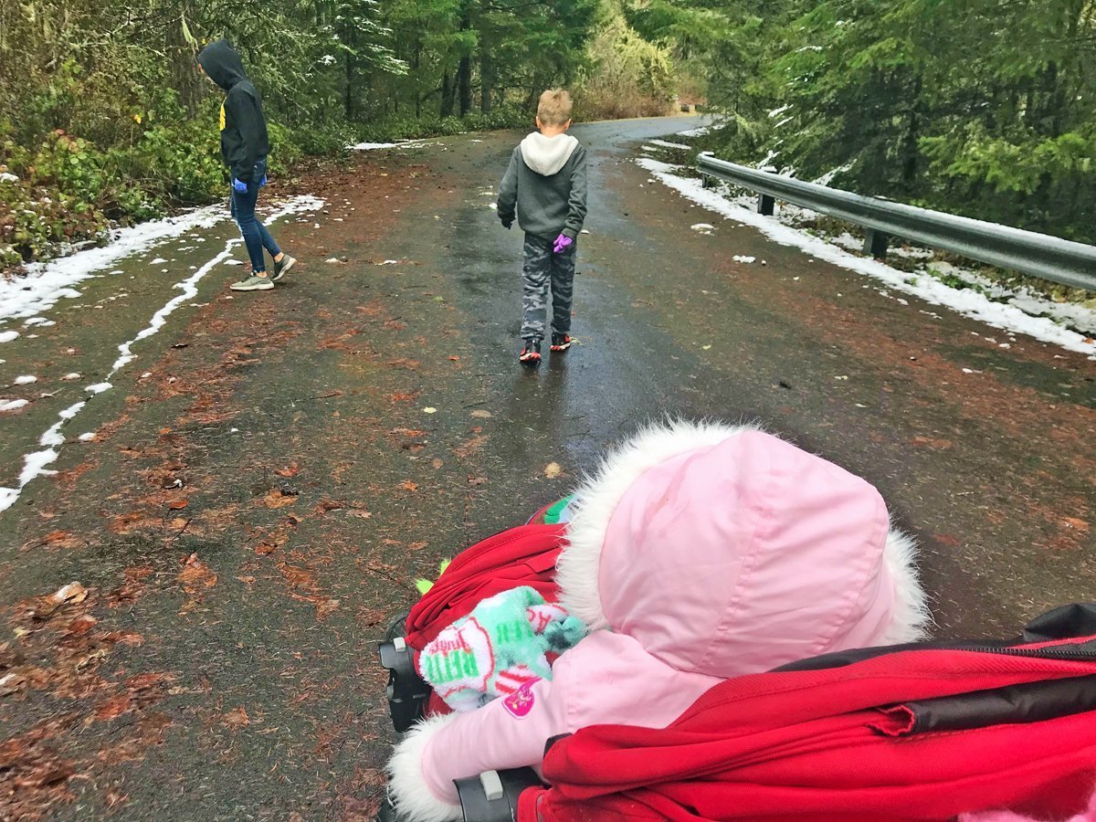 Taking a stroller on a winter hike at Fall Creek Lake