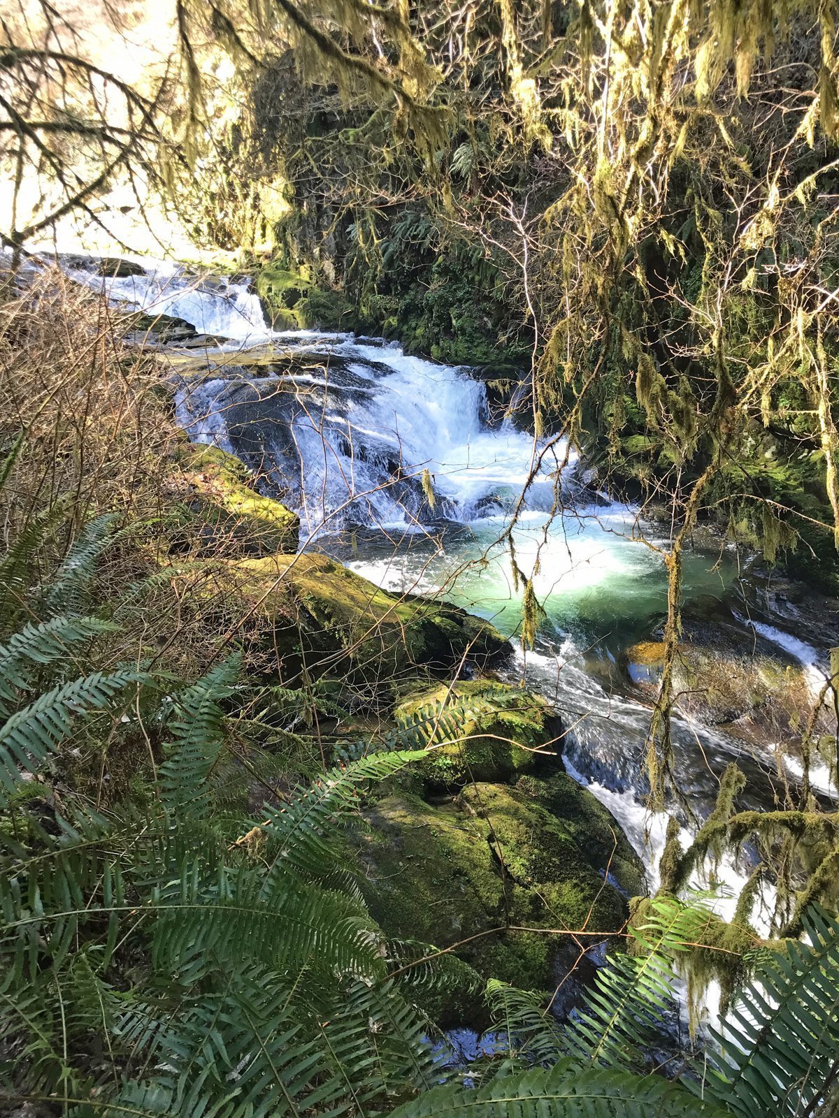 The third falls we saw along the Sweet Creek Trail, near Eugene