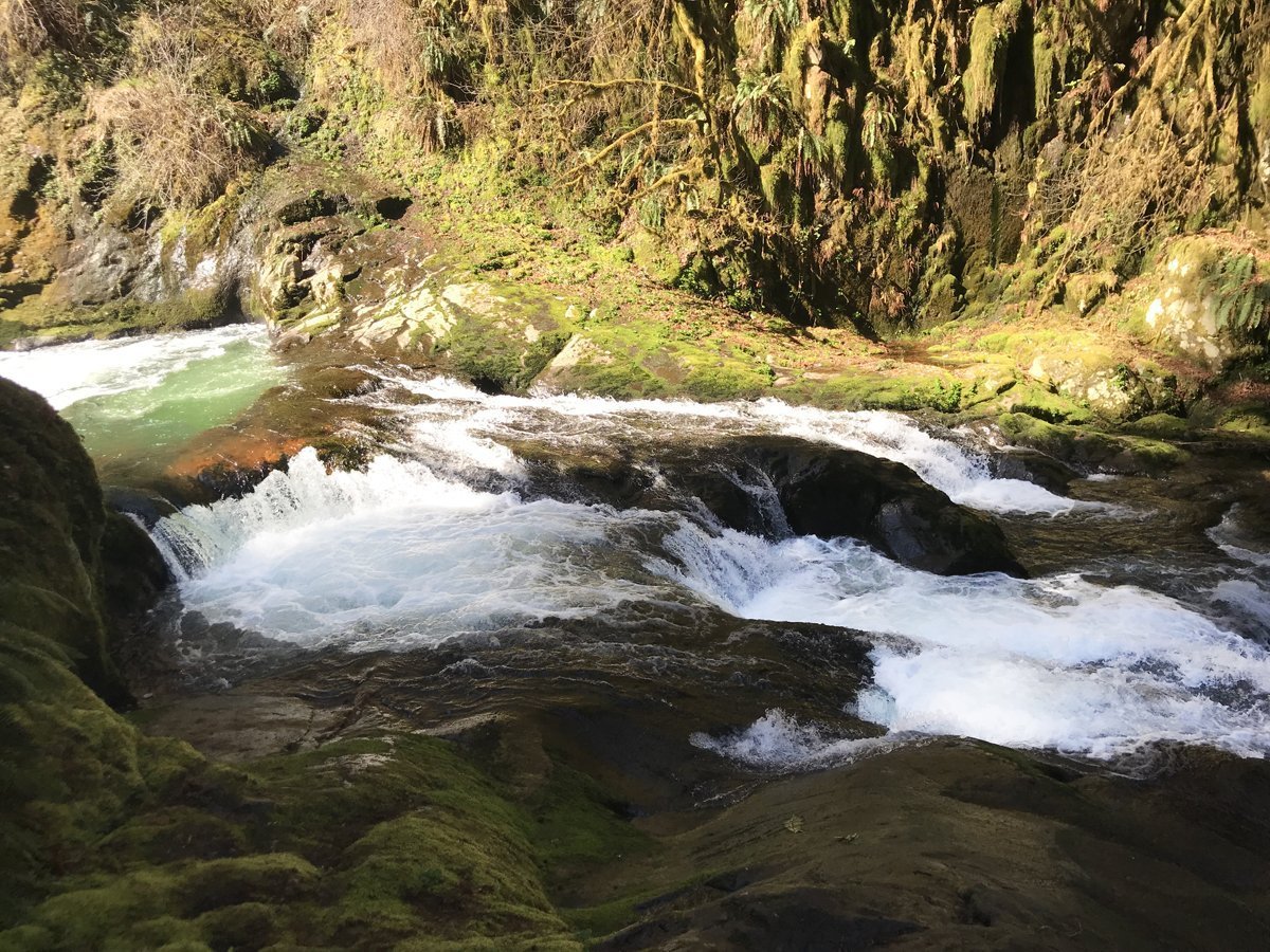 Another waterfall along Sweet Creek Trail - eleven waterfalls near eugene