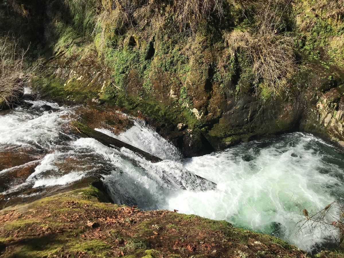 Thunderous waterfalls along Sweet Creek Trail near Eugene