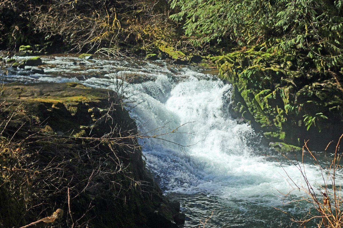 Aquamarine water in Sweet Creek Trail waterfall - near Eugene