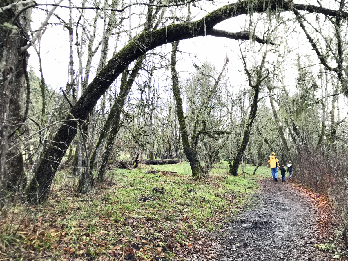 Path through Mt Pisgah Arboretum near Eugene
