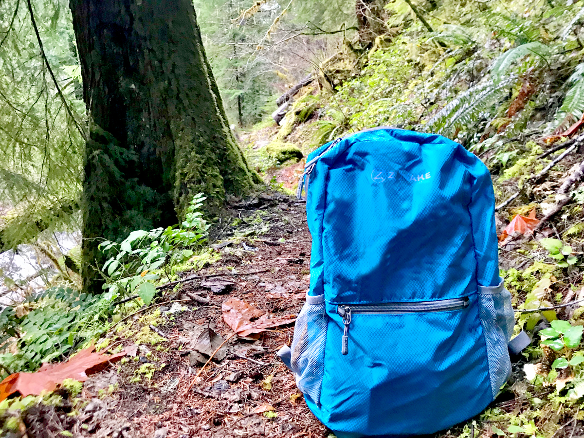 Backpack for the 10 Essentials for a short day hike