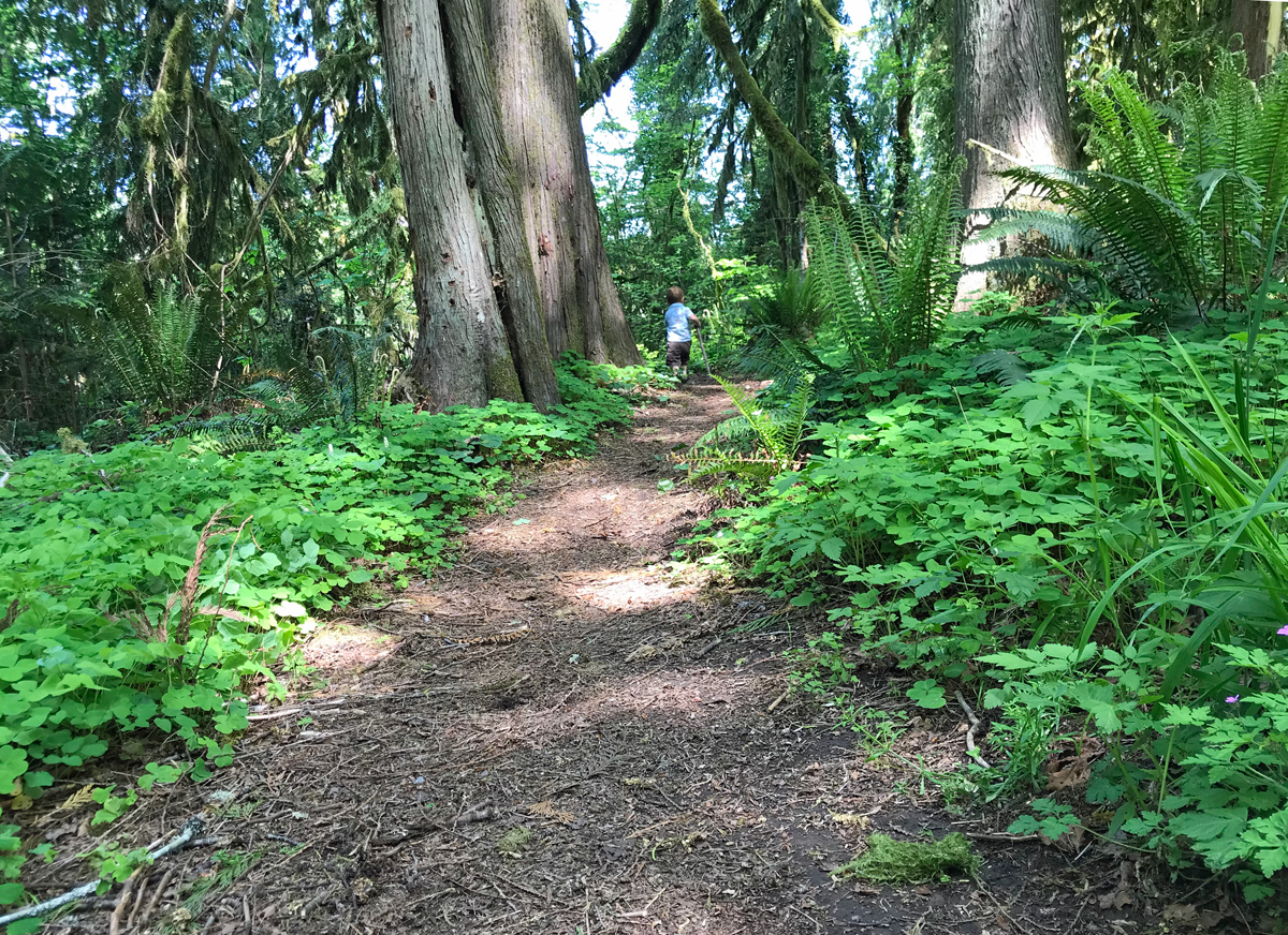 Hiking trail at Deerhorn County Park - quarantine hikes near eugene