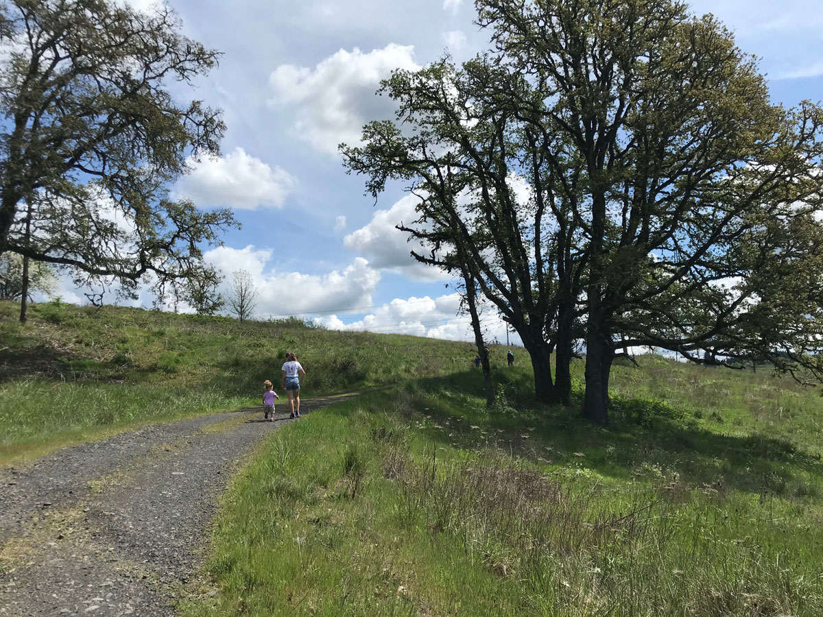 Thurston Hills Trail in Springfield - quarantine hikes near eugene