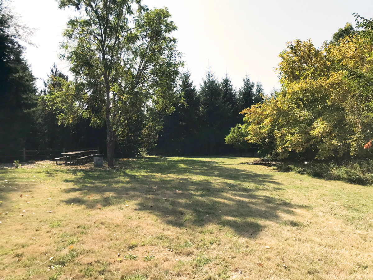 Ruff Park in Springfield, Oregon