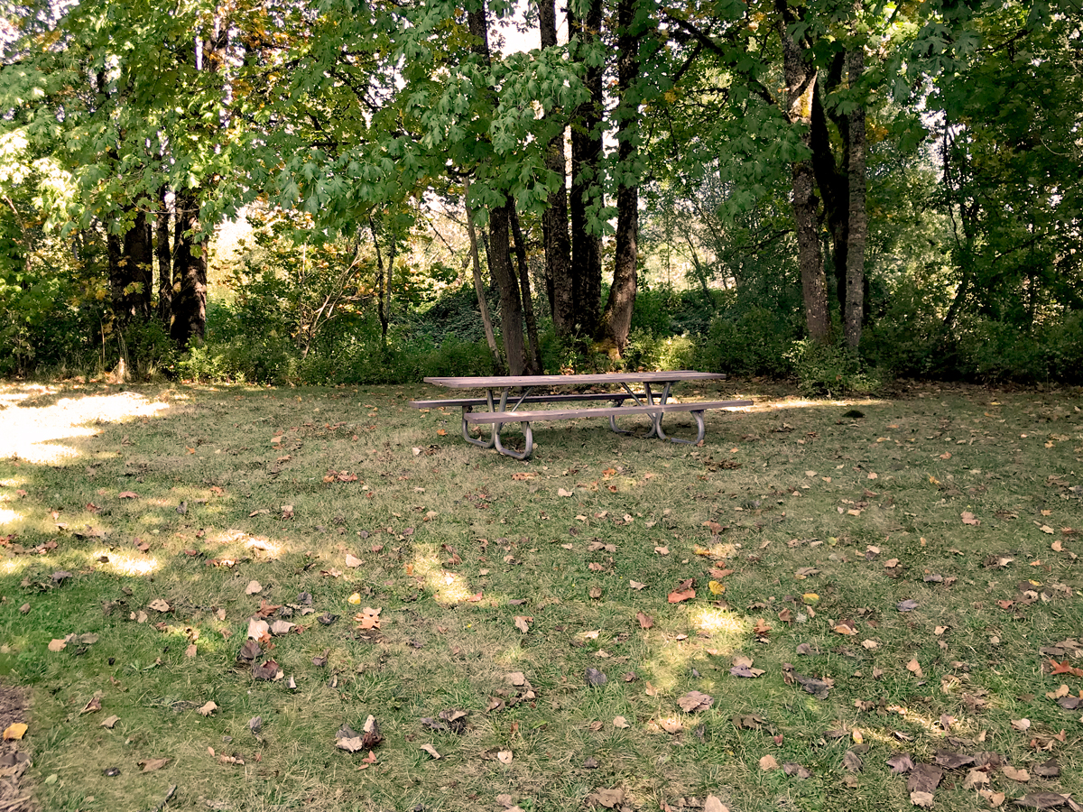 Picnic table in Ruff Park, Springfield