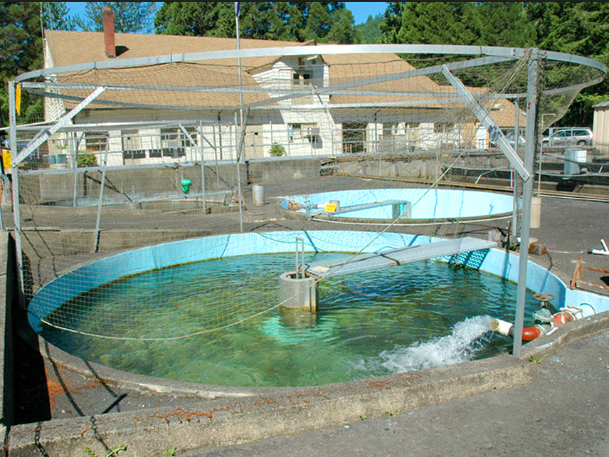 A historic photo of the round, blue ponds when they were still in use, from 2004.
