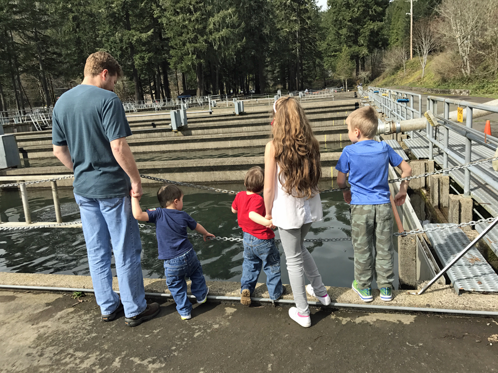 Children looking at rows of fish hatchery ponds.