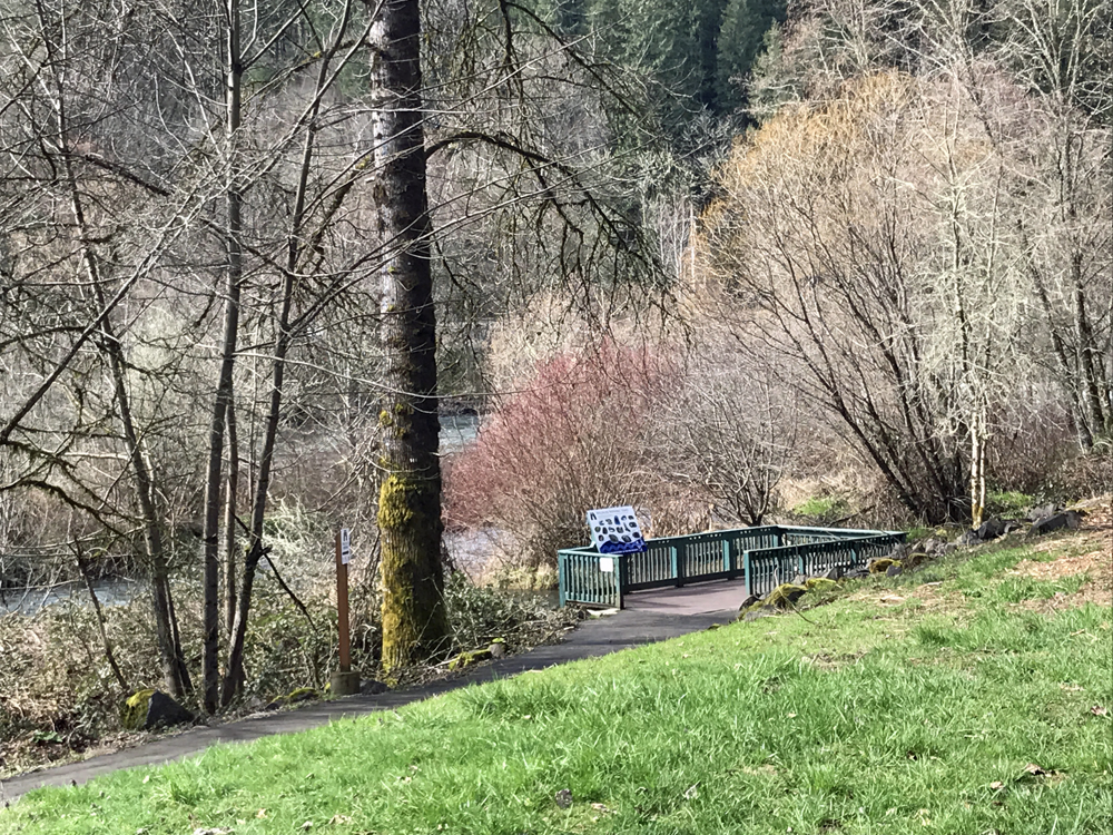 Riverside observation deck at Leaburg Hatchery