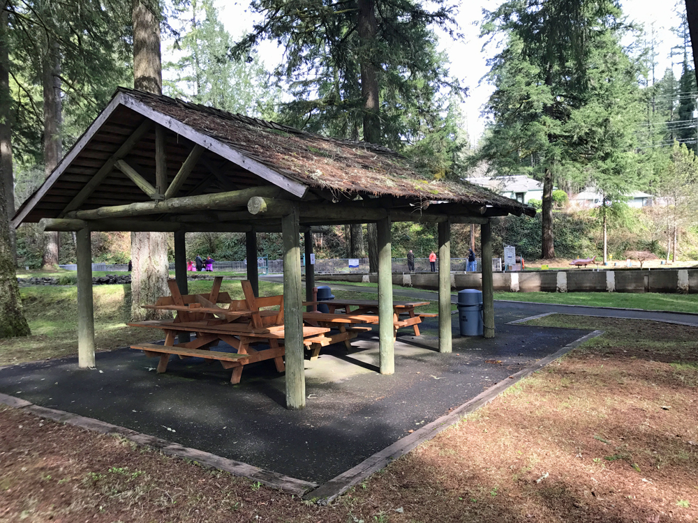Picnic shelter at Leaburg Fish Hatchery