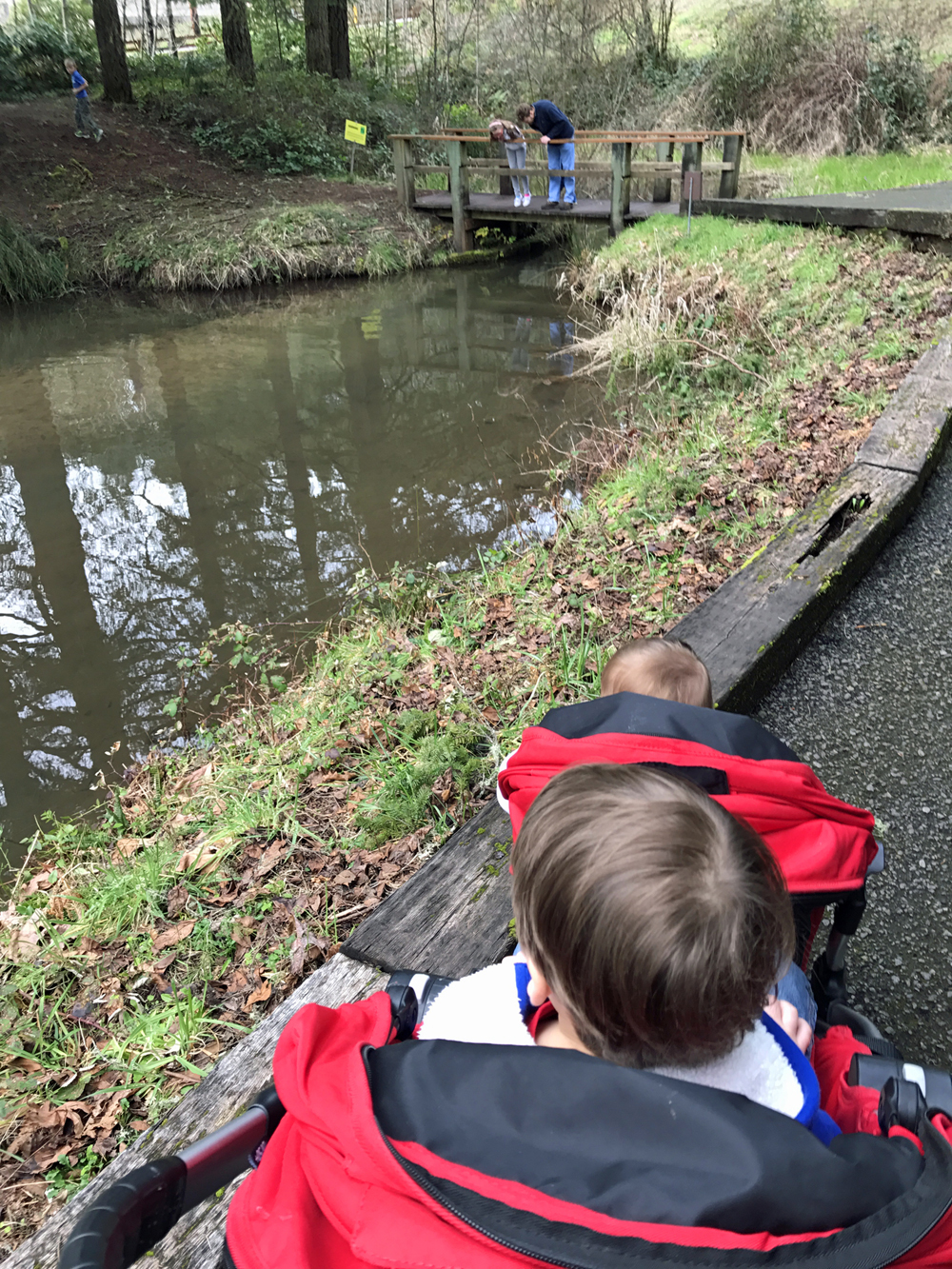 Little children in a stroller enjoy the display pond.