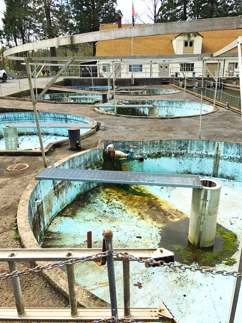 Empty historical ponds at the hatchery. They are round and bright blue. There are 6 of them.