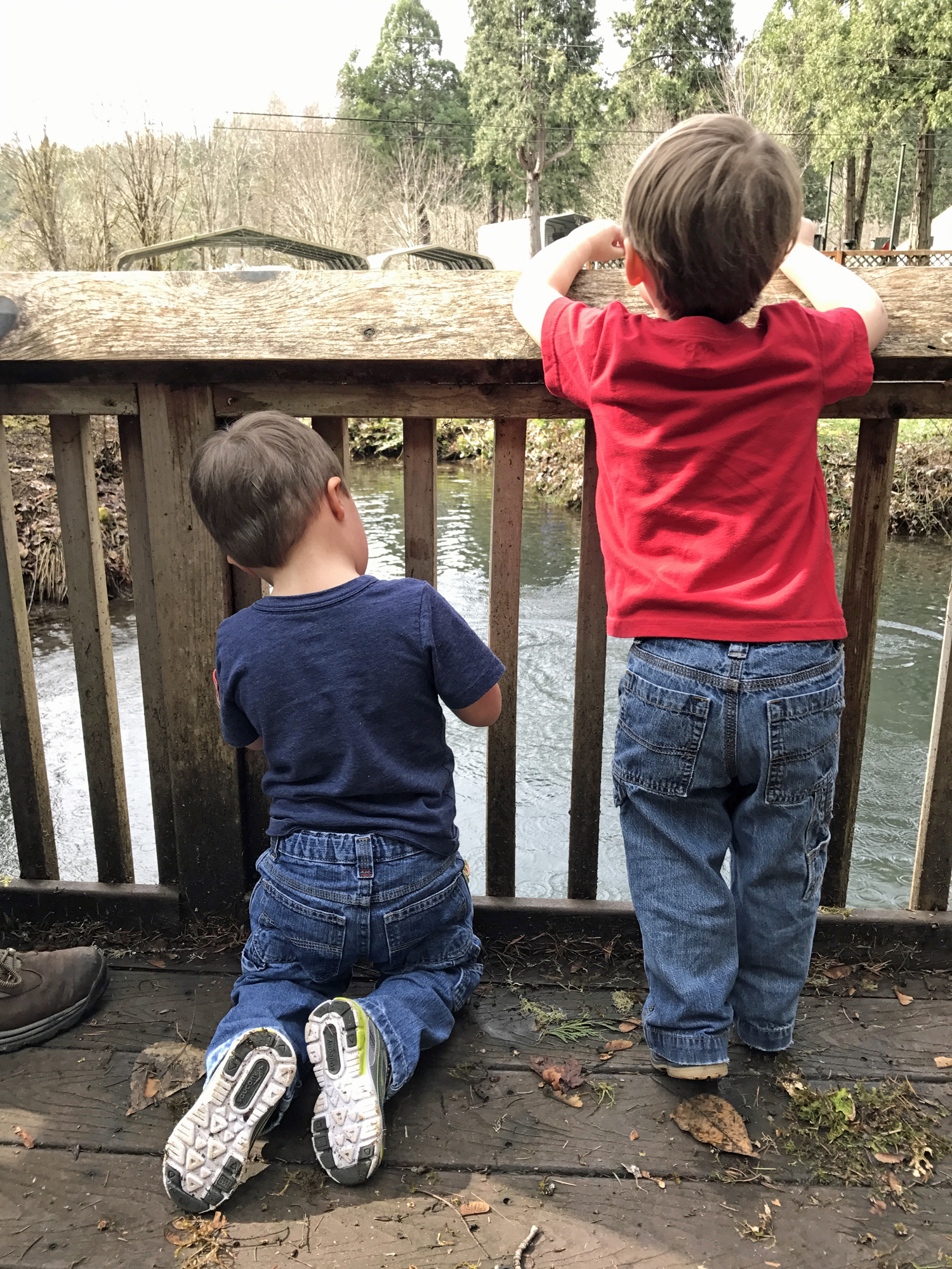 Our kids checking out the observation deck over a small pond