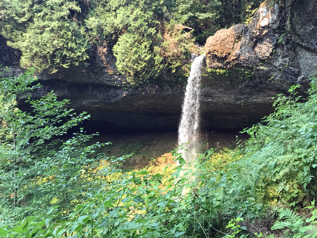 North Falls amongst underbrush. Framed with overhanging rock ledges. A cave is behind the falls.