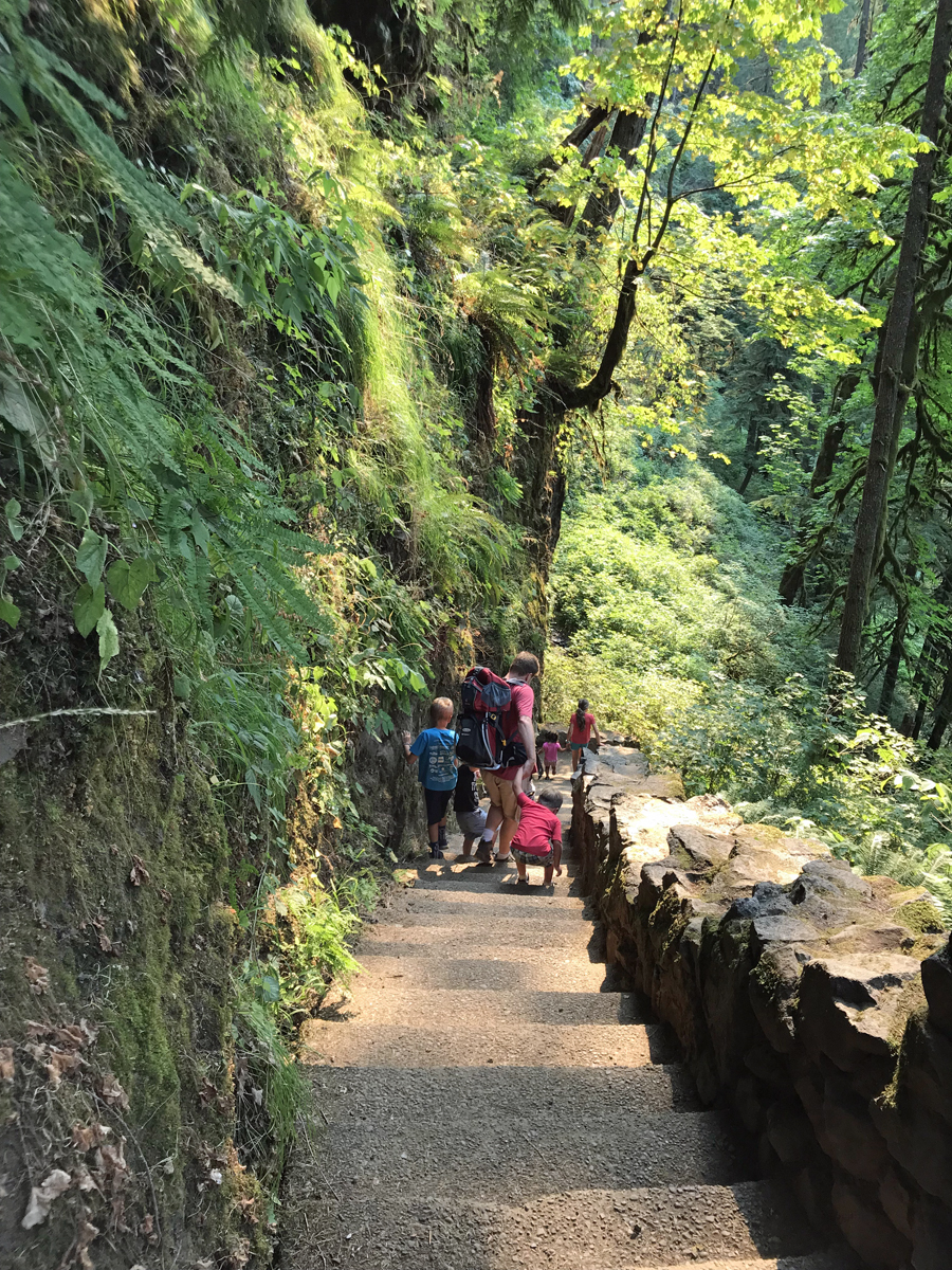 There are many stone steps down the path to North Falls. 