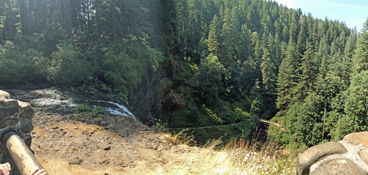 View of a valley of trees from the top of South Falls