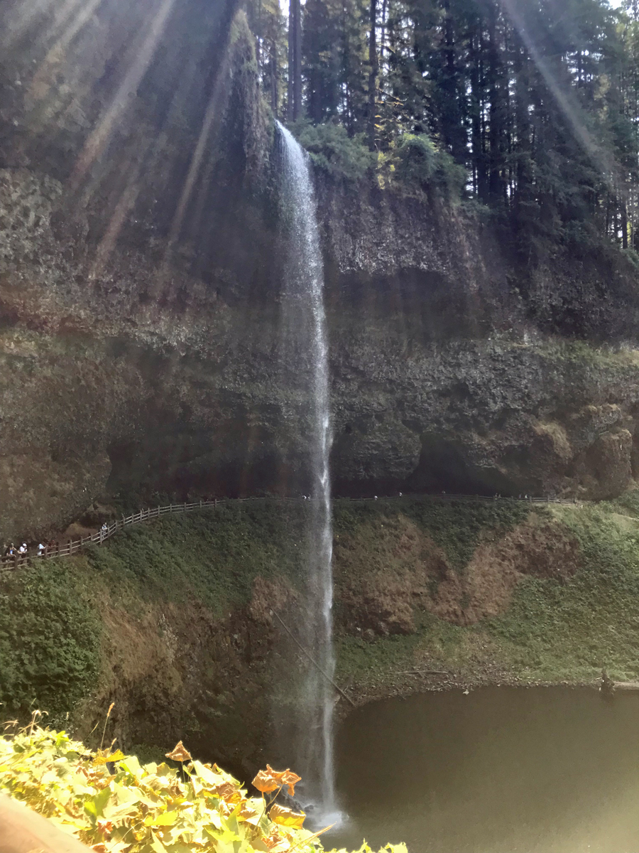 South Falls at Silver Falls State Park, with sun rays shining down and framing the waterfall.